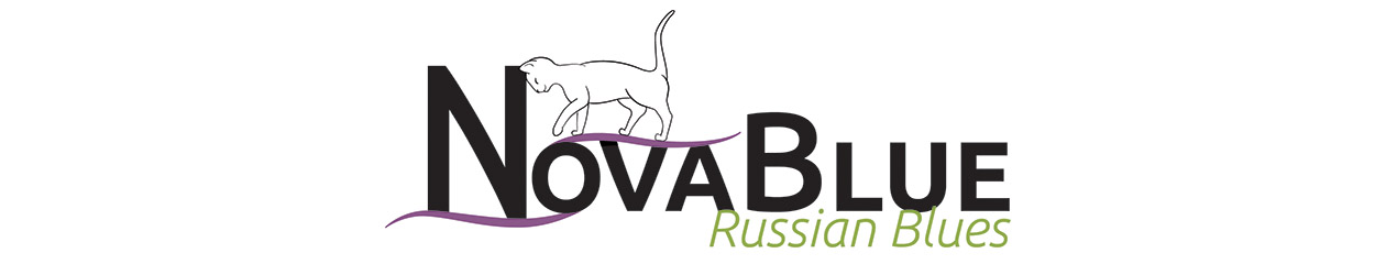 NovaBlue Russian Blues